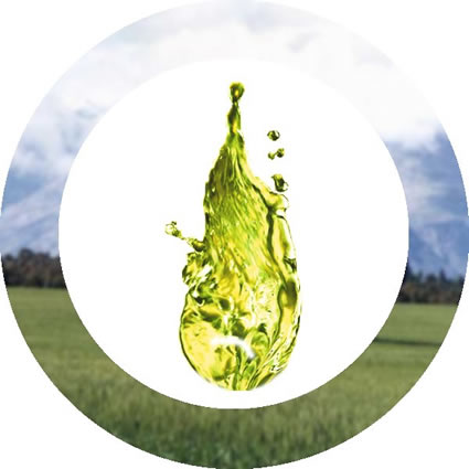 biodiesel_biocarburante_mcgyven_krohn_sartec_corp_biofuel_news