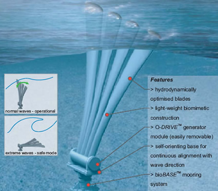 biowave_biopower_systems_bio_wave_biostream_energia_dal_mare_energia_dalle_maree_correnti_sottomarine_mare_correnti_energia_produrre_biowave_biostream