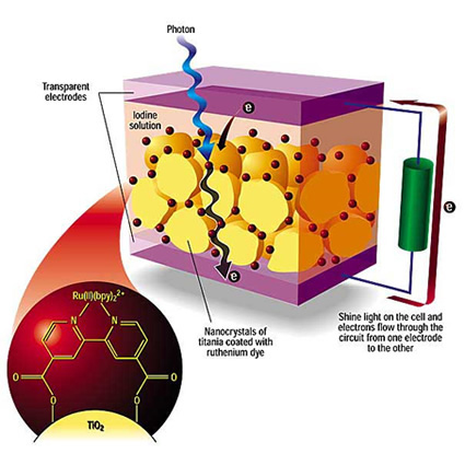 collettori solari, collettore solare, biomimesi, biomimesi collettore solare, celle solari biomimetiche, collettori solari e biomimesi, collettori solari farfalla