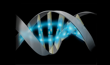 jetropha, getrofa, synthetic genomics, produrre biocarburanti da jetropha, produrre biocarburanti da getrofa, olio di palma, palma da olio