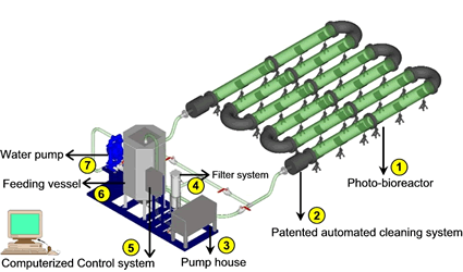 produrre_biodiesel_in_casa_biodiesel_da_alghe_biocarburante_dalle_alghe_produzione_alghe_tecnologia_biodiesel_energia_algaelink_algae_link