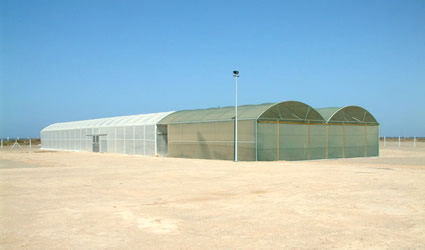 sahara forest project, sahara forest project sea water greenhouse, sea water greenhouse, sea water greeunhouse sahara forest project, energia dal deserto, acqua dolce da acqua salata, acqua dolce deserto