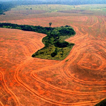 etanolo brasile, etanolo brasiliano, biocarburante brasiliano, biocarburante etanolo, etanolo usa