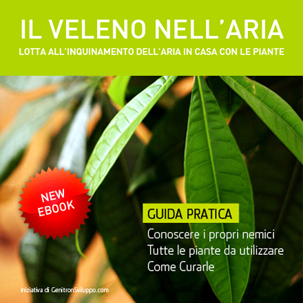 EBook - Il Veleno nell’Aria - Lotta all’inquinamento dell’aria in casa con le piante