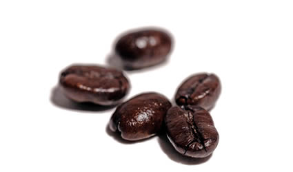 caffe_sostenibile_equosolidale_solidale_economia_sostenibile_sviluppo_caffe_coffee_miscela_concime_commercio_equo_solidale