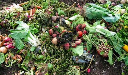 giardinaggio sostenibile, giardino sostenibile, compost, raccolta acque grigie, raccolta acque, pacciame, compost giardino, giardinaggio sostenibile e compost