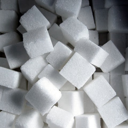 zucchero usa ogm, zucchero ogm, ogm, zucchero geneticamente modificato